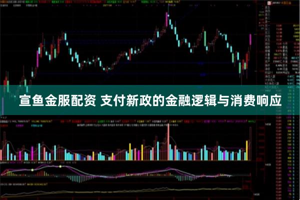 宣鱼金服配资 支付新政的金融逻辑与消费响应